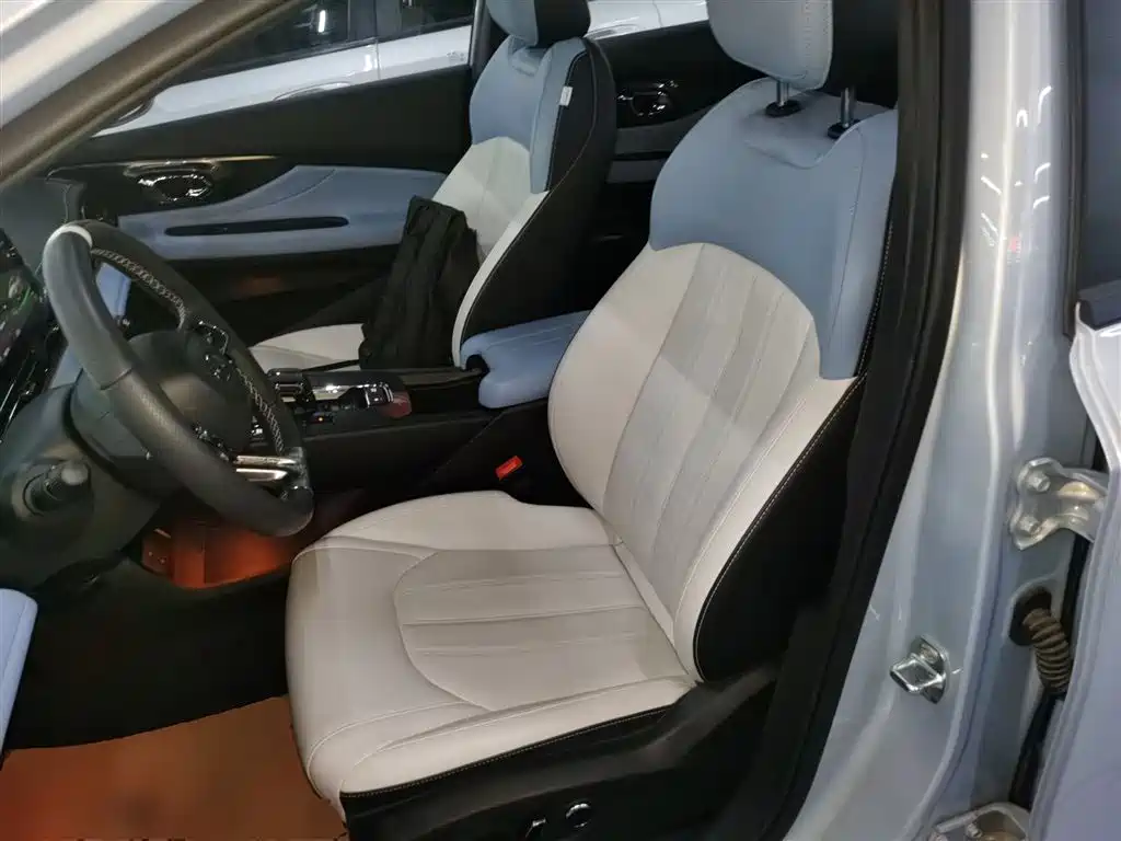 GAC TRUMPCHI SHADOW LEOPARD