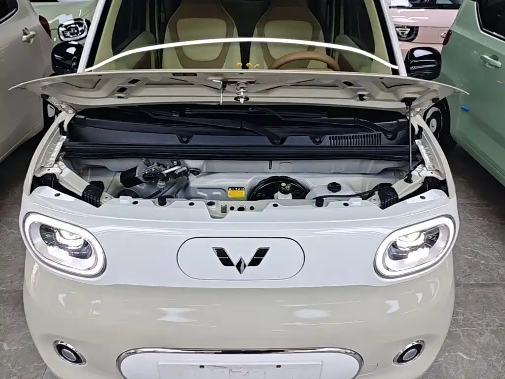 Фото 20 - Wuling Motors Hongguang MINIEV