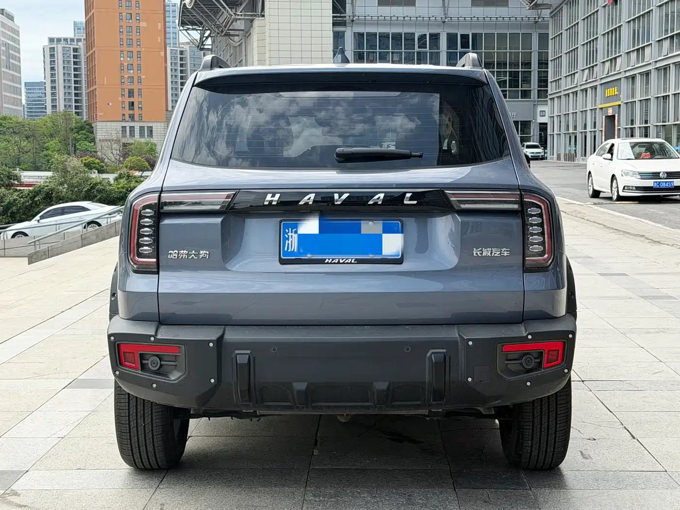 HAVAL BIG DOG