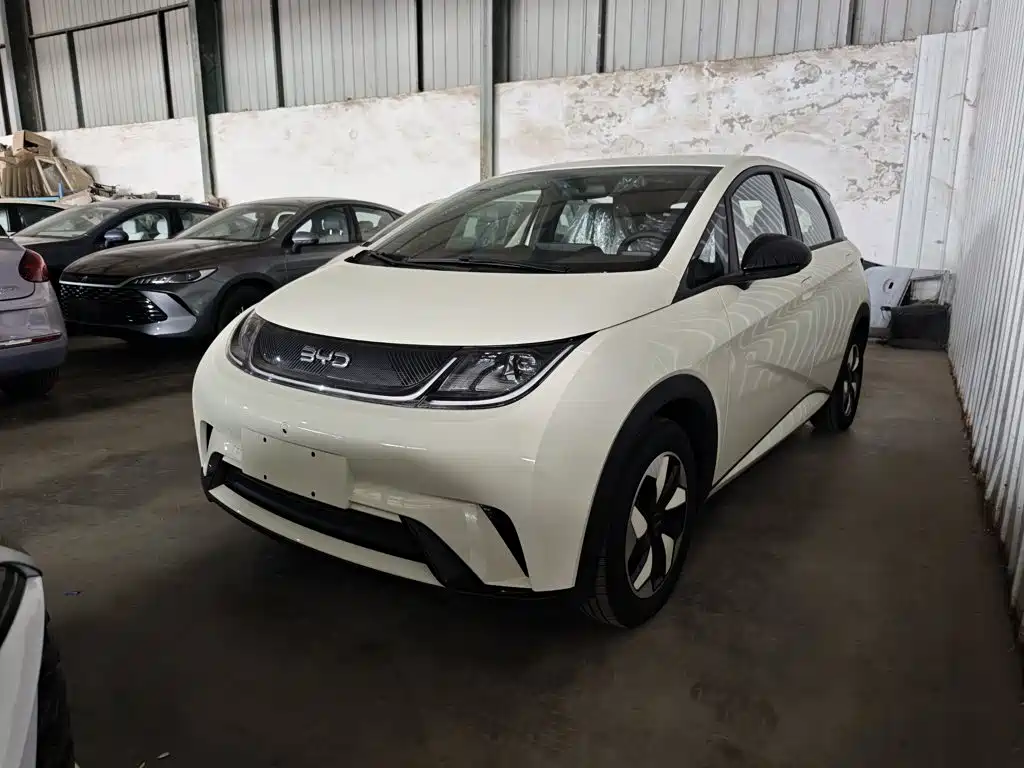 BYD Dolphin 2026 2025 420km Freedom Edition