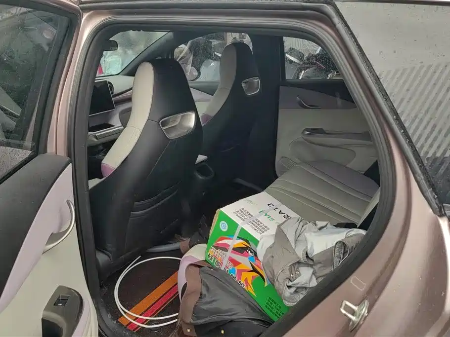 BYD Dolphin 2024 Glory Edition 420km Freedom Edition фото 11