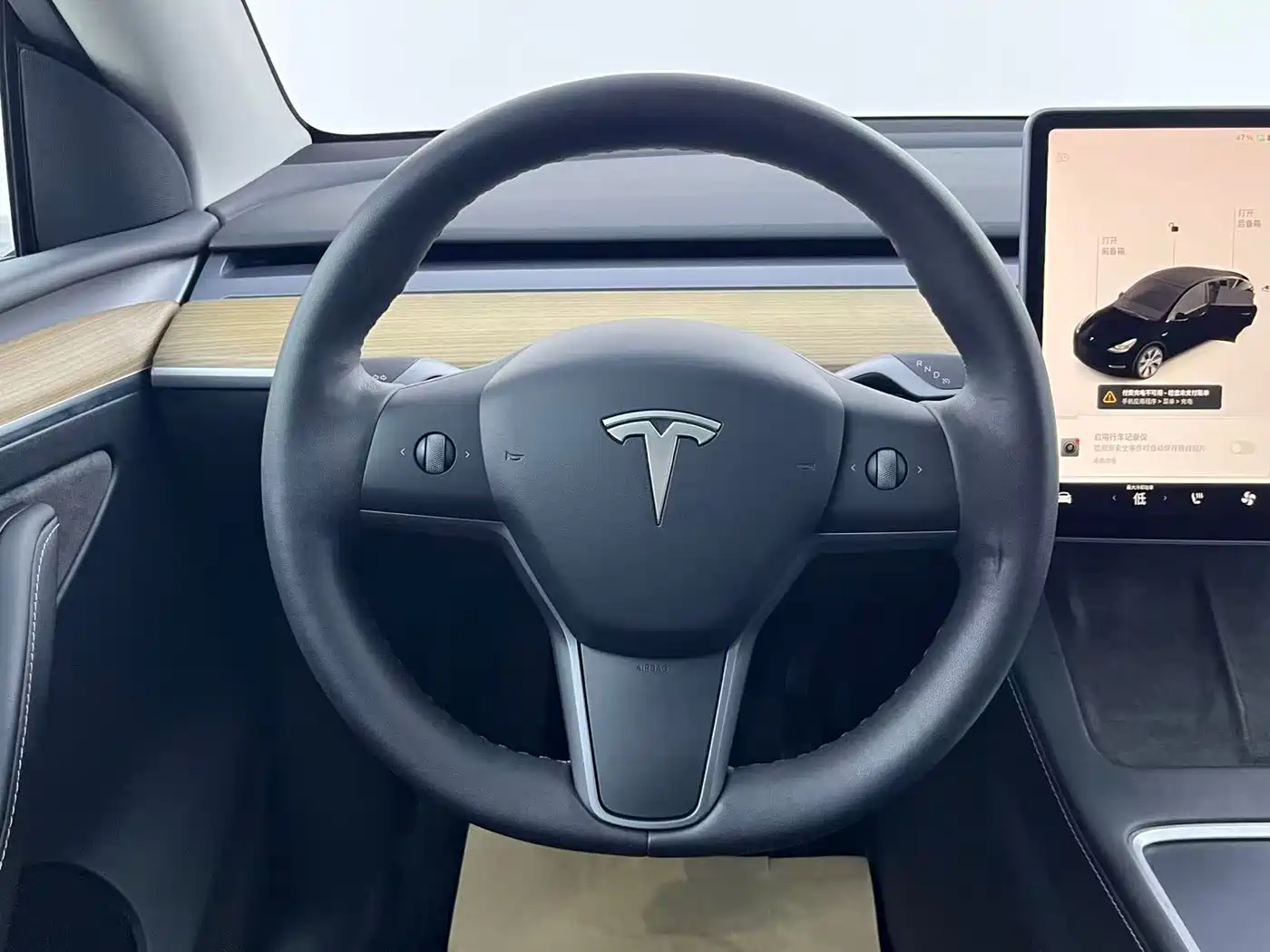 Tesla Model Y 2021 2021 Standard Range Rear-Wheel Drive