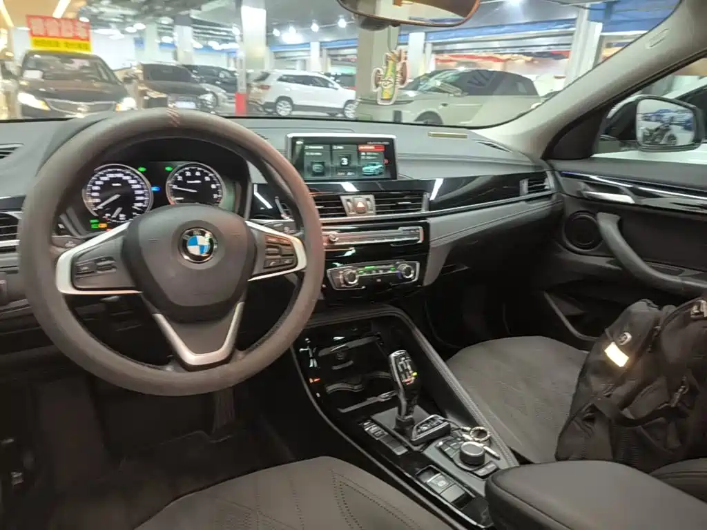BMW X2 (Import) 2019 2019 sDrive20i M Off-Road Package China VI
