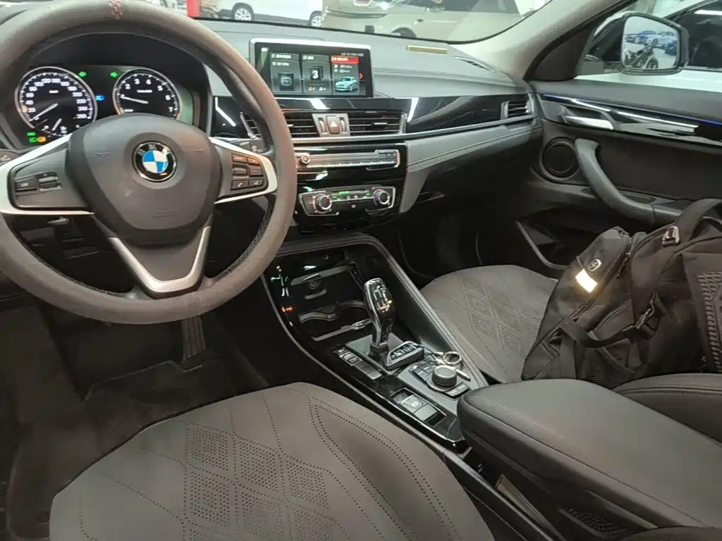 BMW X2 (Import) 2019 2019 sDrive20i M Off-Road Package China VI