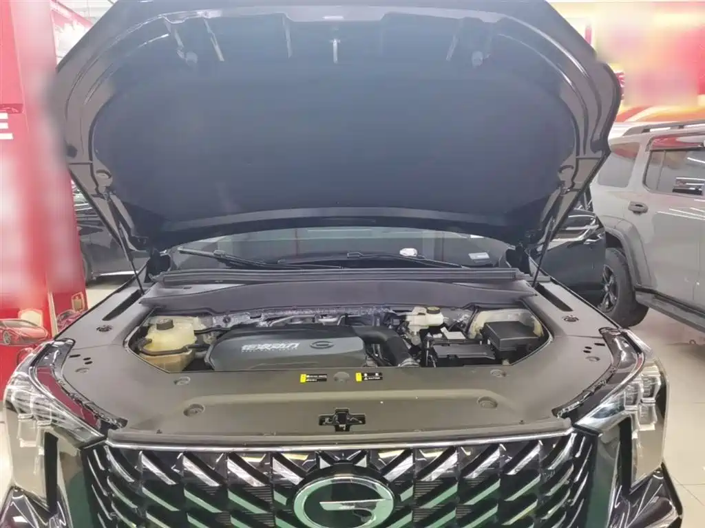 GAC Trumpchi Trumpchi GS8 2024 Navigator Series 2.0TGDI 2WD Luxury Smart Connect Edition фото 20