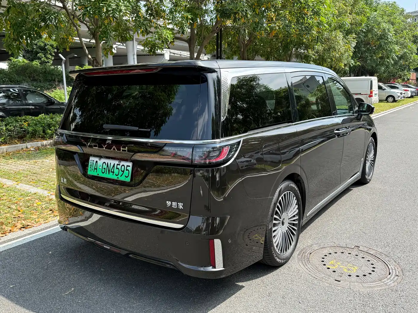 Voyah Auto Voyah Dreamer 2025 PHEV AWD Flagship Kunpeng Edition фото 5