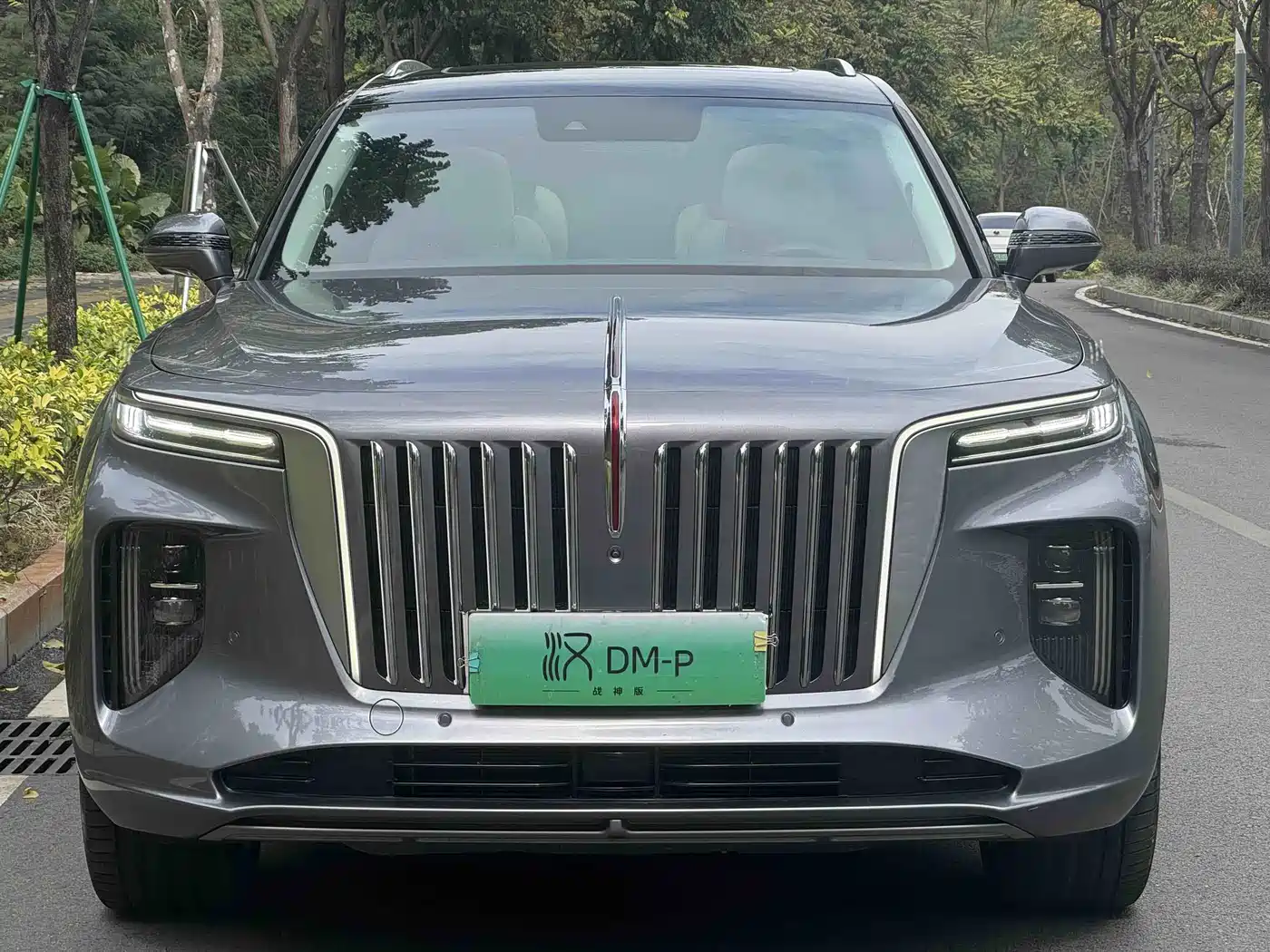 Hongqi E-HS9 2022 2021 460km Flagship Comfort 6-seater