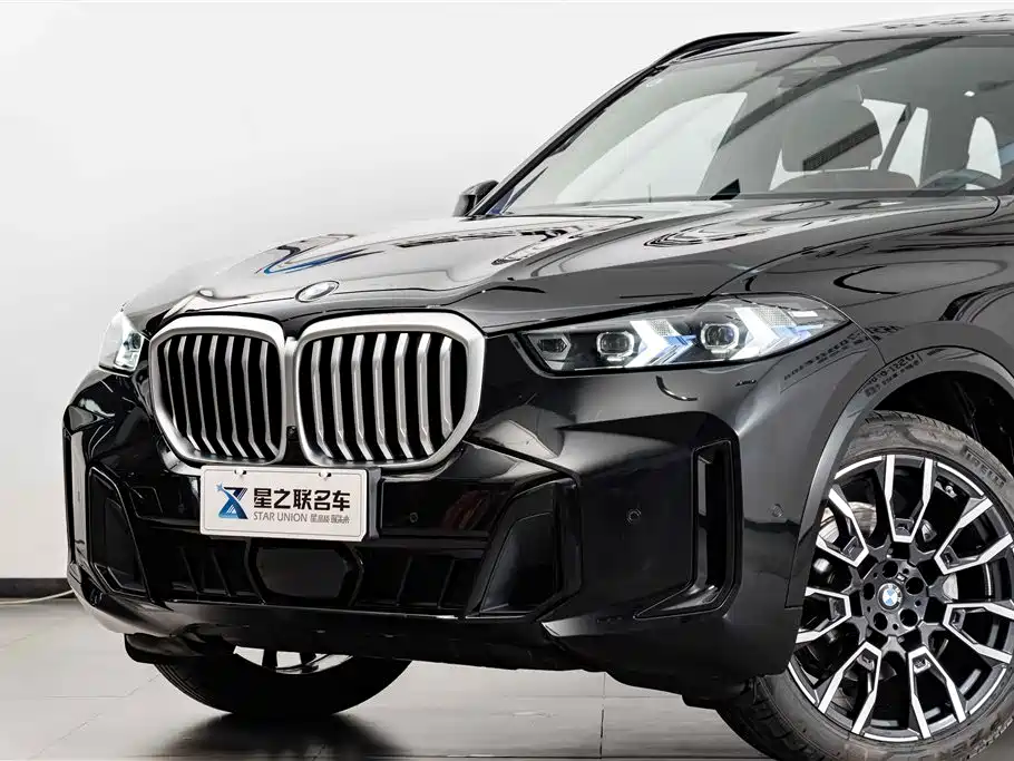 BMW X5 2023 xDrive 40Li M Sport Black Night Package фото 3