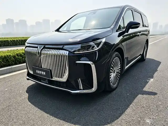 Voyah Auto Voyah Dreamer 2024