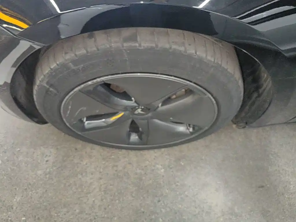 Tesla Model 3 (Import) 2020 2019 Long Range All-Wheel Drive Edition
