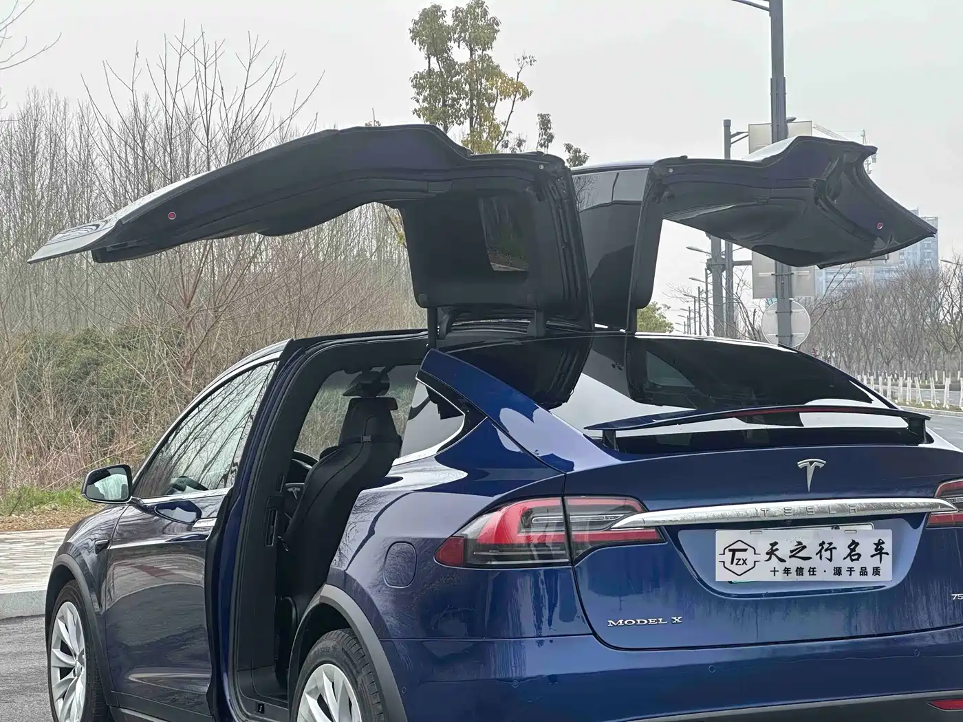 TESLA MODEL X