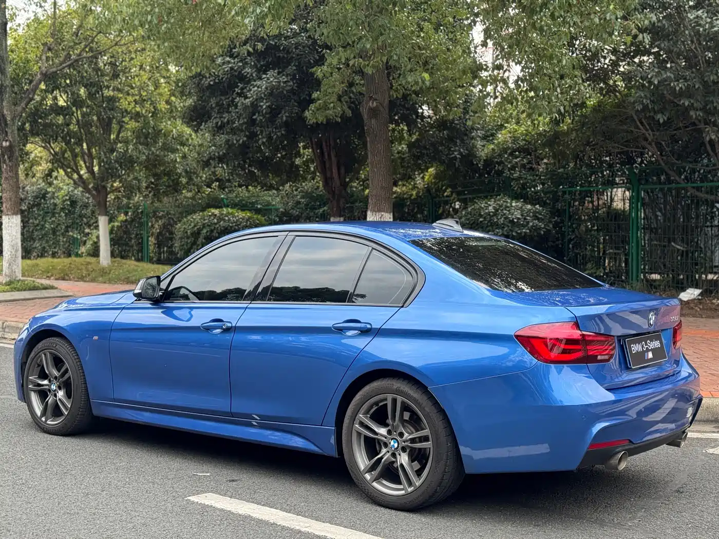 BMW 3 Series 2019 320Li M Sport Black Night Edition фото 9