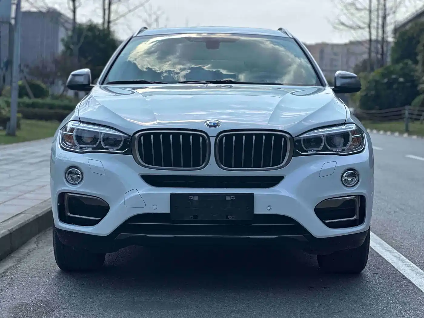 BMW X6 2017 xDrive35i Leading фото 2