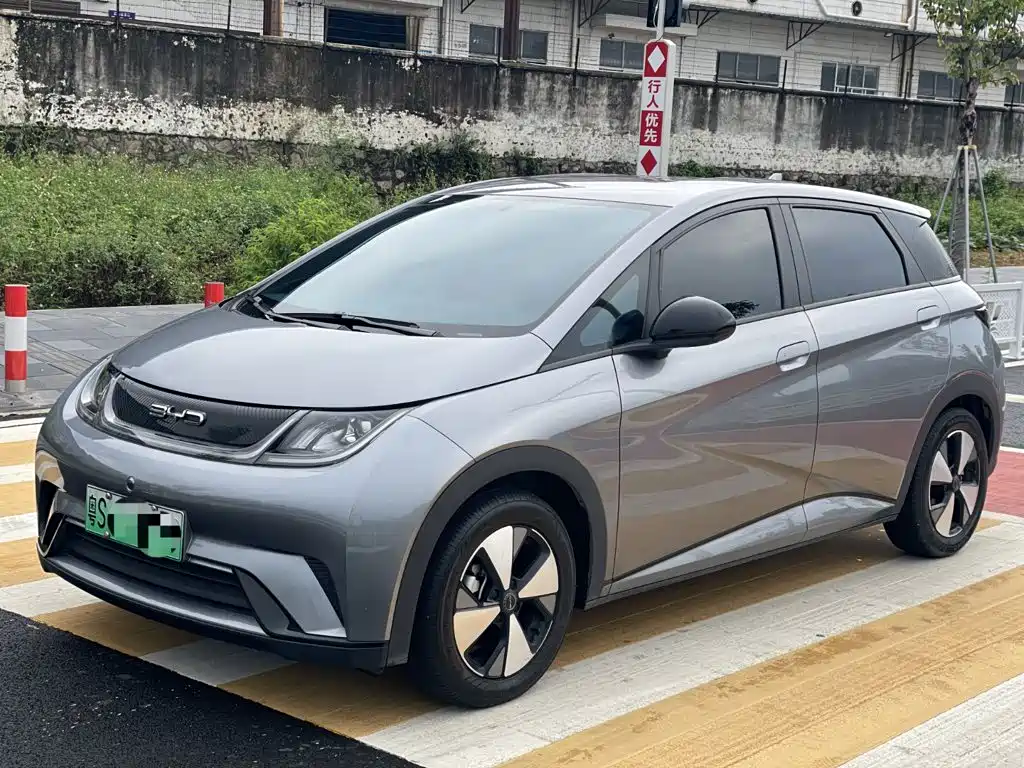 BYD Dolphin 2024 Glory Edition 420km Freedom Edition