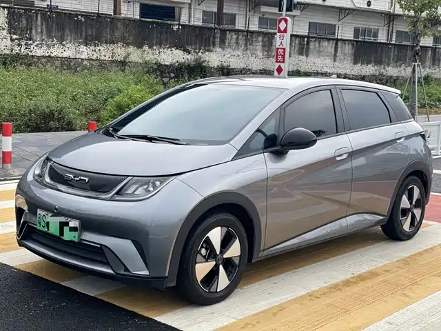 BYD Dolphin Слава, 420km, Свобода