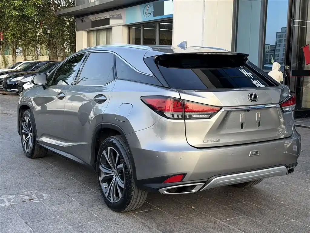 Lexus RX 2020 300 AWD Elegance Edition China V фото 5