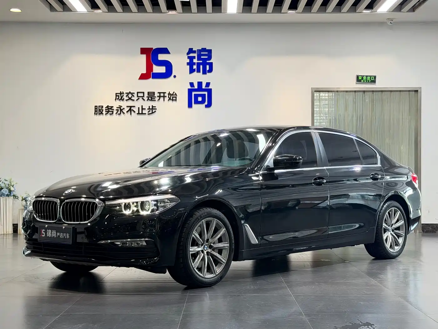 BMW 5 Series 2018 528Li Launch Special Edition