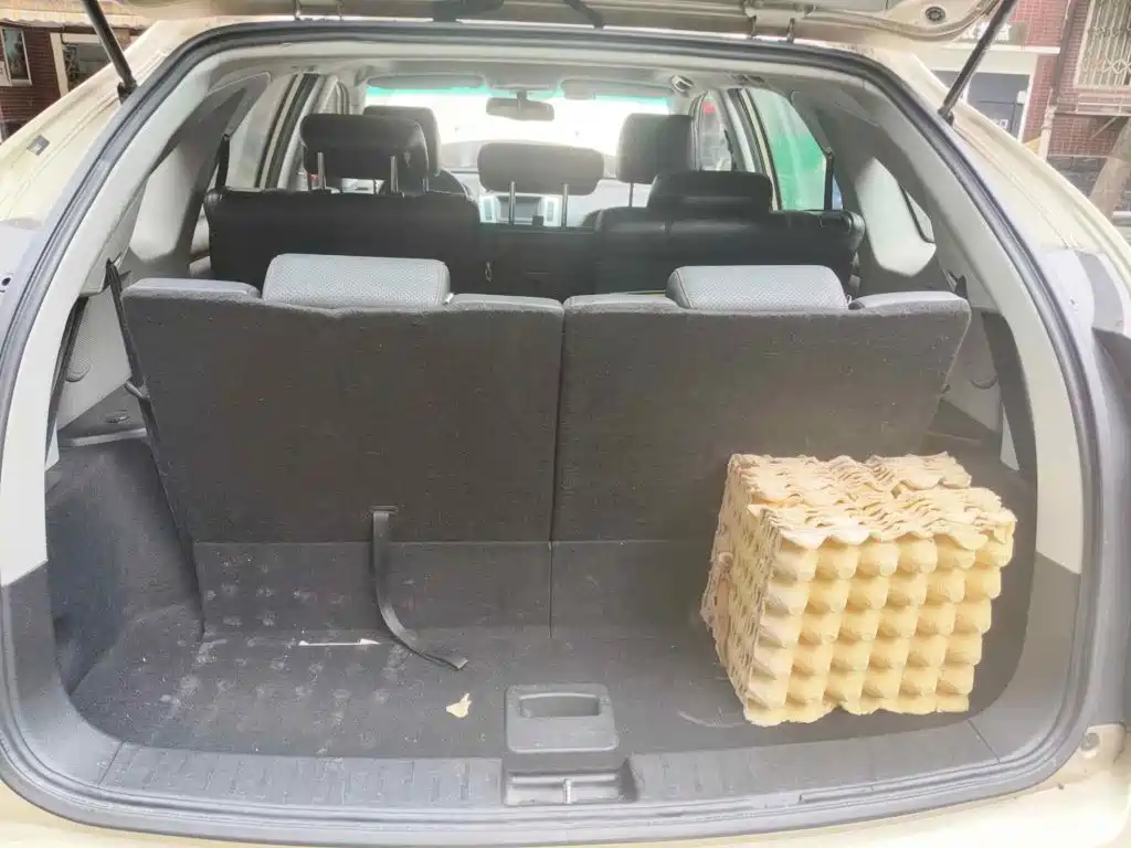 2015 BYD S6