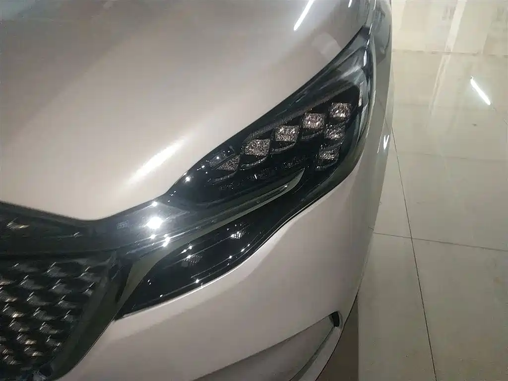 Buick GL8 2021 ES Landlord 653T Comfort фото 23