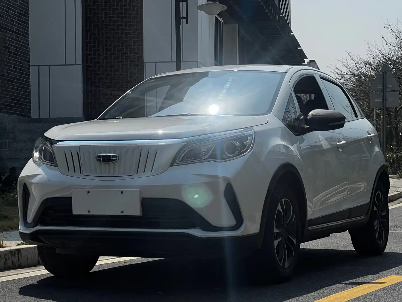 GEELY GEOMETRY EX3 KUNG FU COW