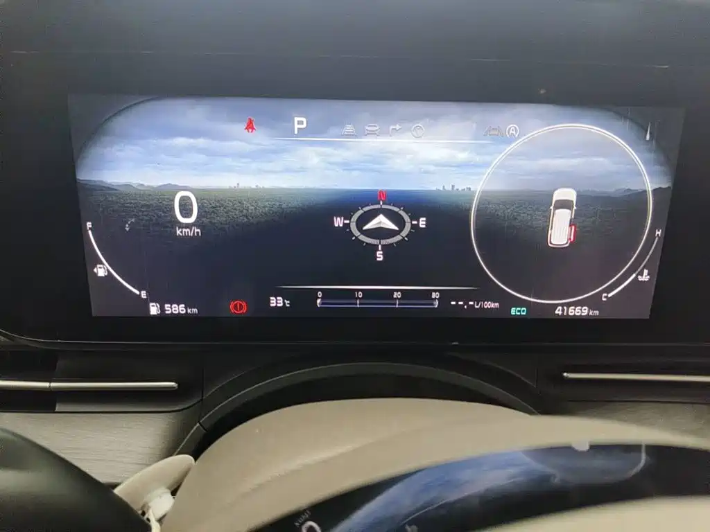 Kia Carnival 2023 2021 2.0T Luxury Edition
