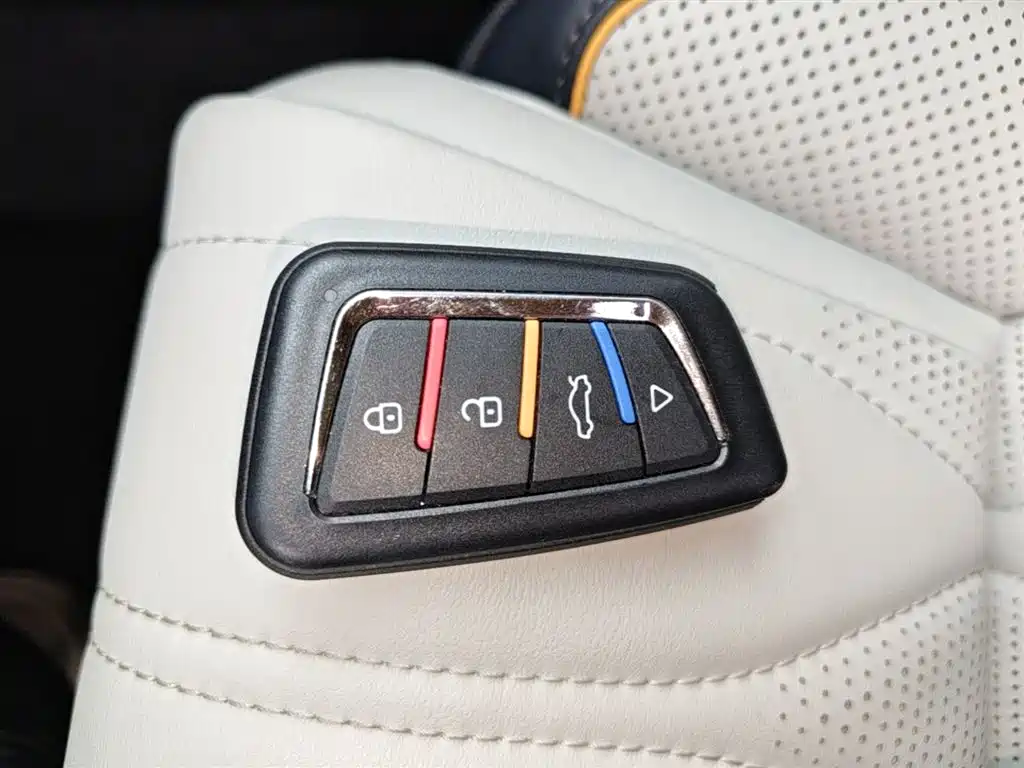 BYD Tang New Energy 2022 EV 730KM Premium фото 9