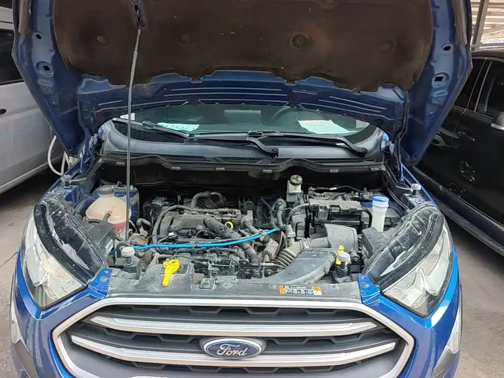 Ford EcoSport 2018 2018 1.5L Automatic Platinum Wing