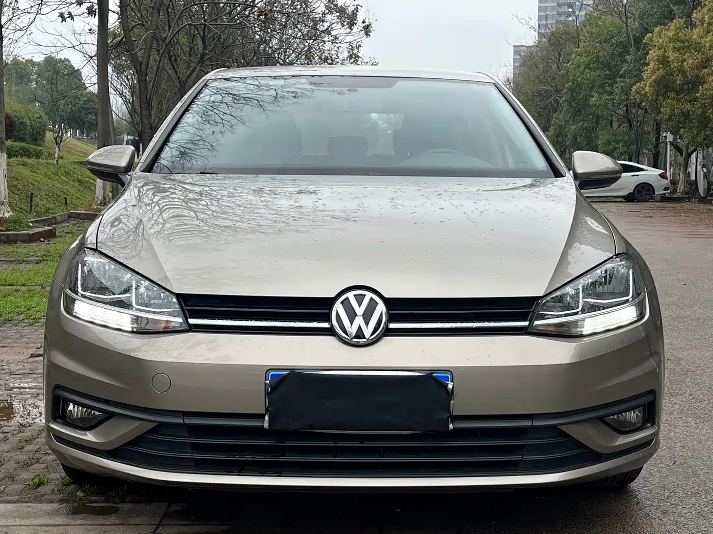 Volkswagen Golf 2018 1.6L Automatic Fashion фото 2