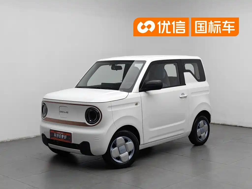 Фото 1 - Geely Galaxy Panda