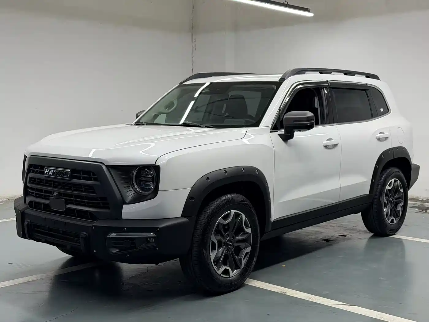 Haval Big Dog 2022 2.0T DCT 4WD Chinese Rural Dog Hunting Edition фото 3