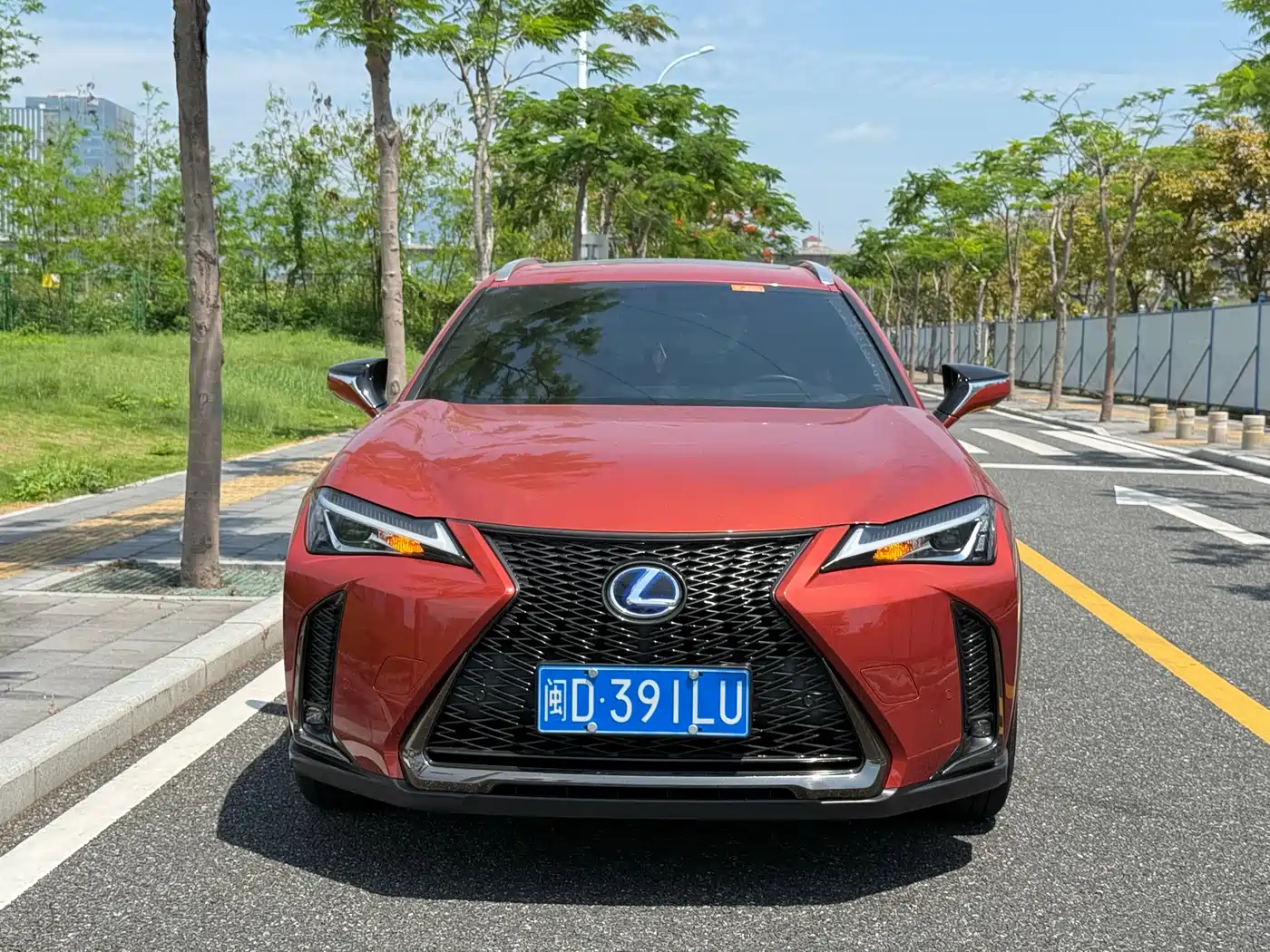 Lexus UX 2019 260h F SPORT Edition (China V) фото 2