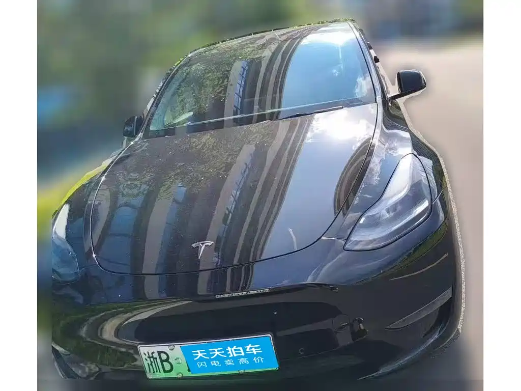 Tesla Model Y 2021