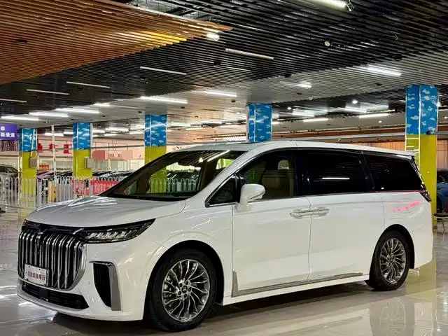  Voyah Auto Voyah Dreamer 2022 Low Carbon Edition Home