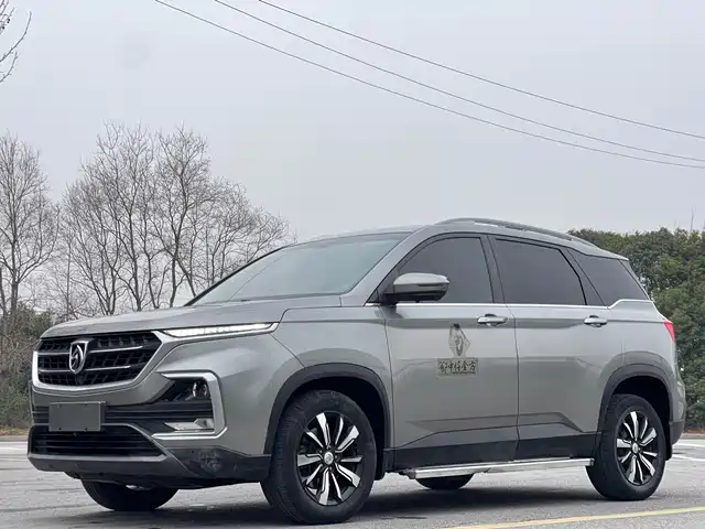 BAOJUN 530
