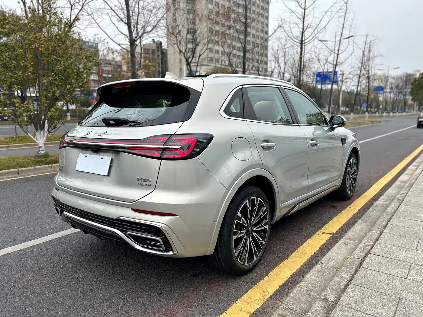 Hongqi HONGQI HS5