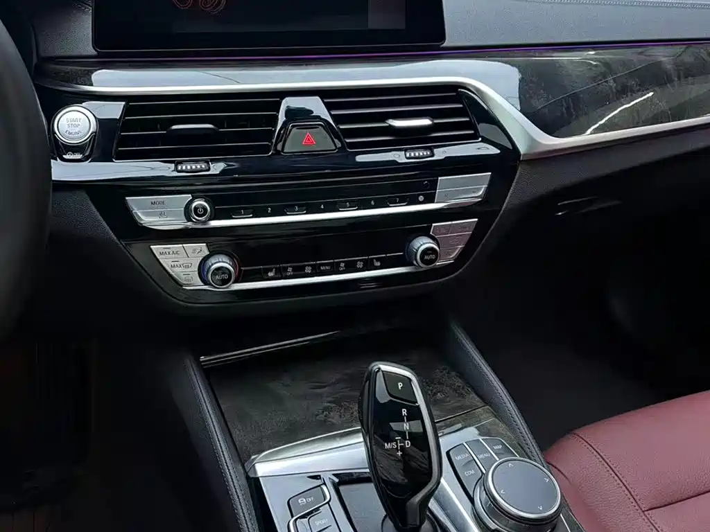 BMW 5 Series 2020 530Li Leading M Sport Package фото 16