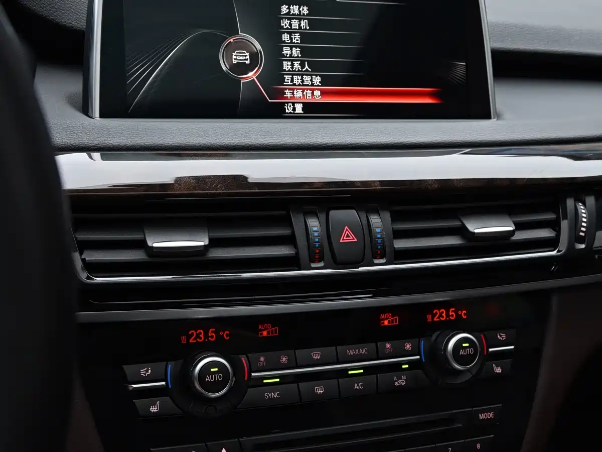 BMW X5 (Import) 2014 xDrive35i Elegance фото 17