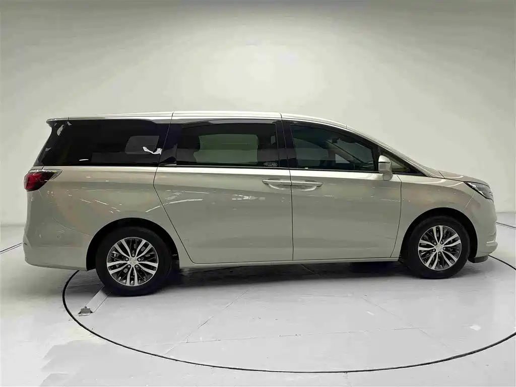 Buick GL8 2022 ES Landmark 653T Premium фото 20