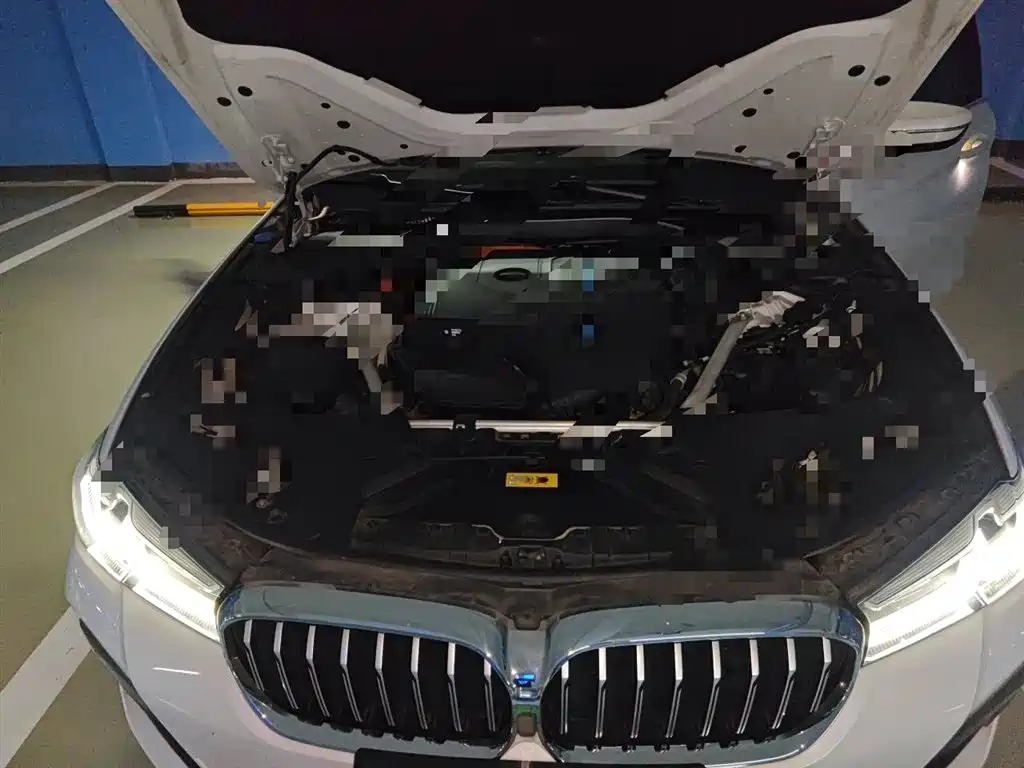 BMW 5 Series New Energy 2021 535Le Pioneer Edition M Sport Package фото 21