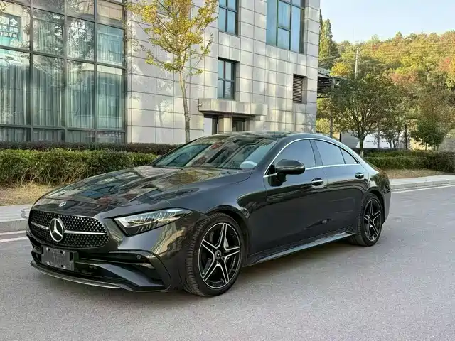 Mercedes-Benz CLS CLS 300, Люкс