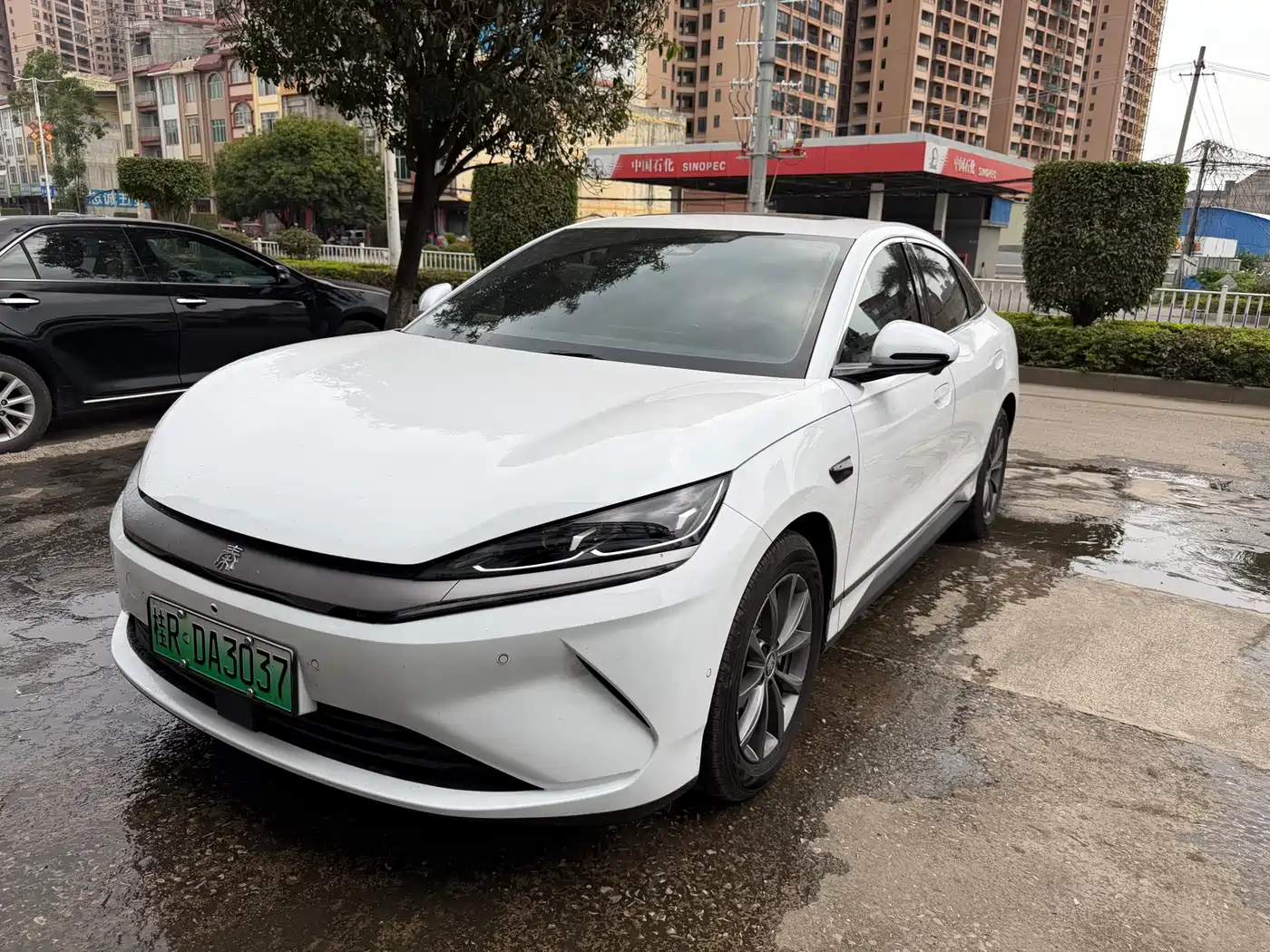BYD QIN L