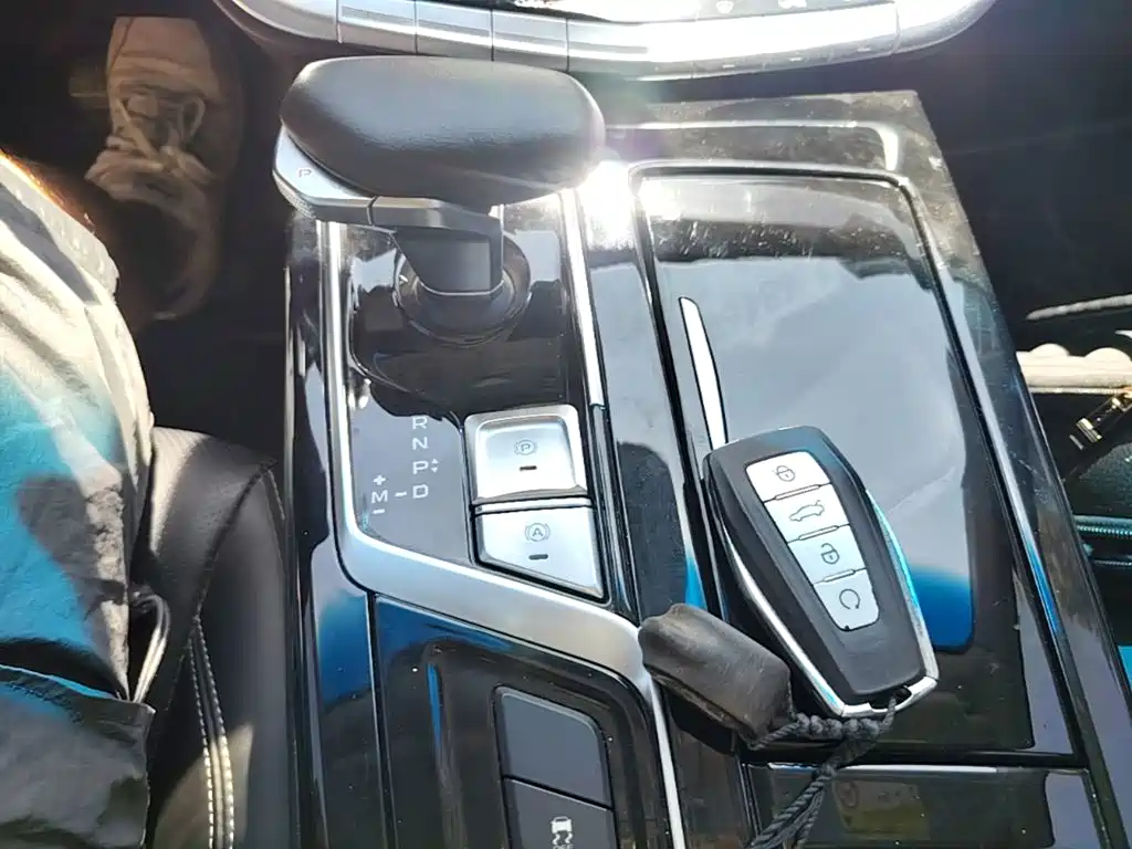 Geely Borui 2022 2021 1.8T Pilot Edition+