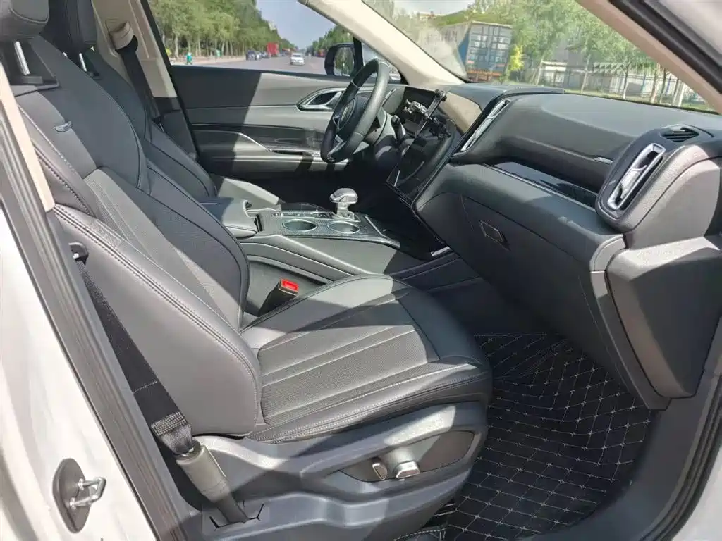 Hongqi HS3 2023 1.5T 2WD Virtue Edition фото 20