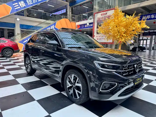 VOLKSWAGEN TANYUE
