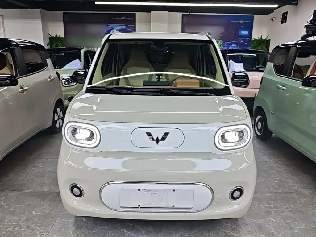 Фото 3 - Wuling Motors Hongguang MINIEV