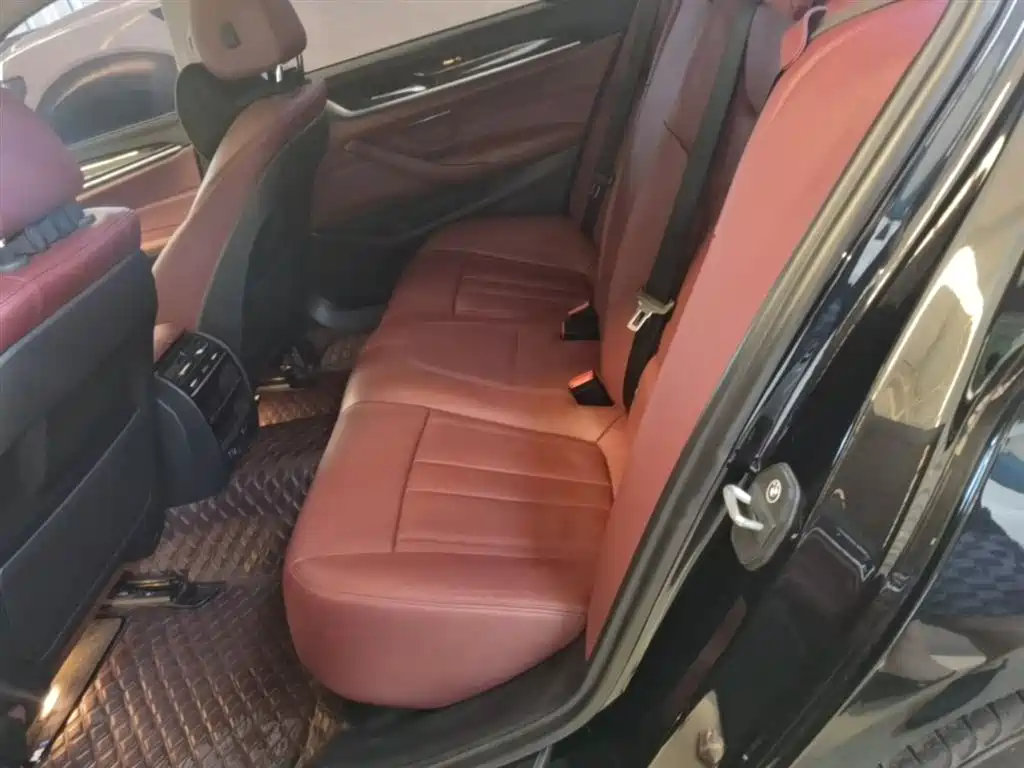 BMW 5 Series 2018 528Li Launch Special Edition фото 17