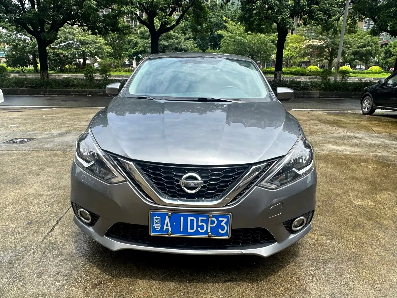 Фото 2 - Nissan Sylphy
