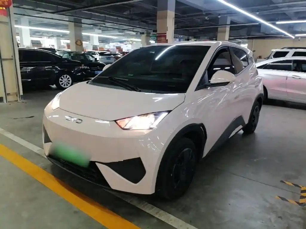 BYD Seagull 2025 Smart Drive Edition 305km Vitality Version