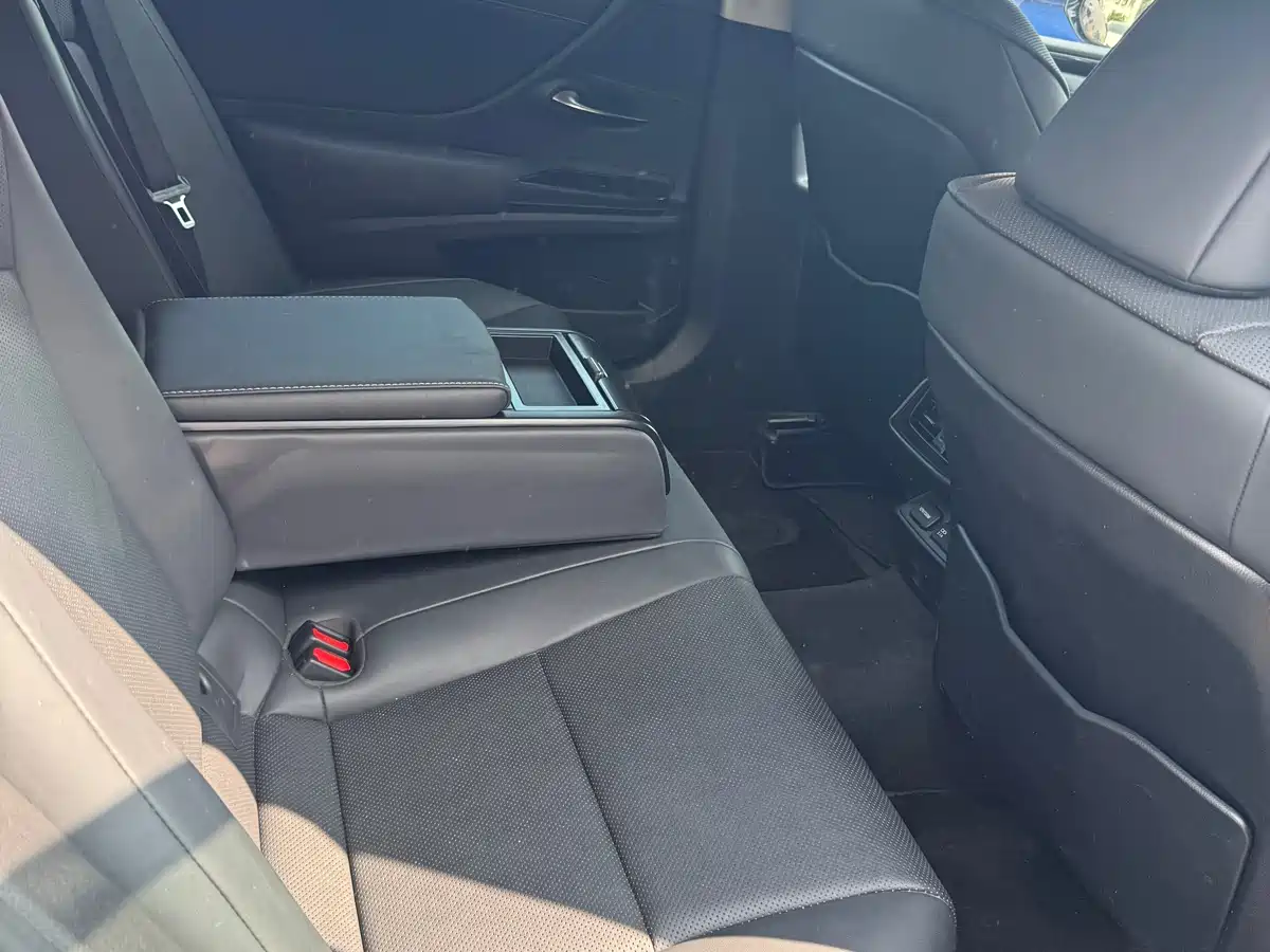Lexus ES 2021 200 Luxury Edition фото 20