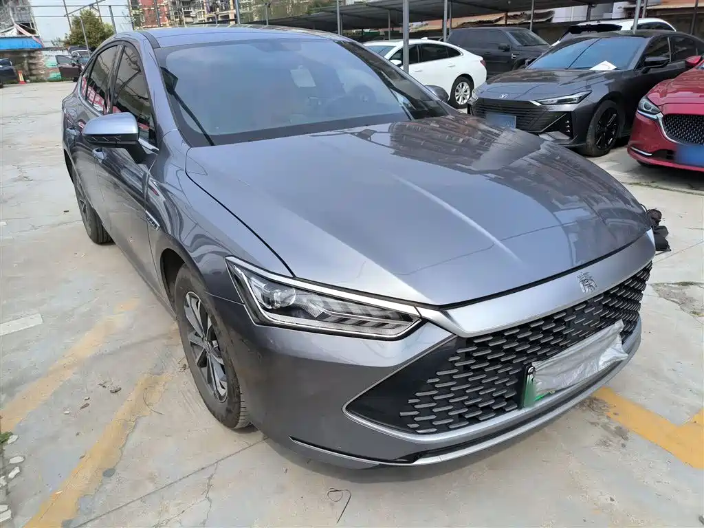 BYD Qin PLUS 2024 Glory Edition DM-i 55KM Leading фото 4